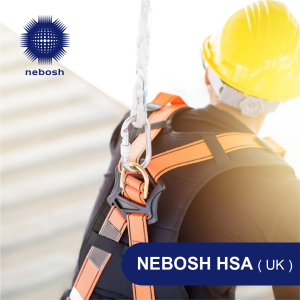 NEBOSH HSA UK Health and Safety at Work training course by PNGIT