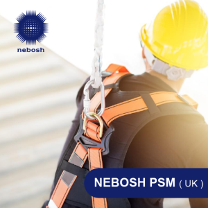 NEBOSH PSM Process Safety Management Course at PNGIT